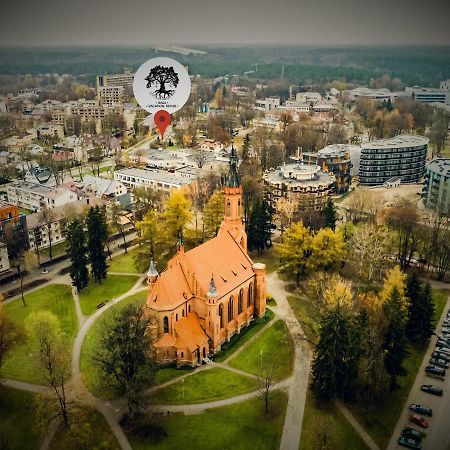 Inga Vacation House Druskininkai Kültér fotó