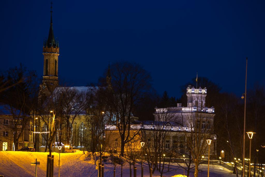 Inga Vacation House Druskininkai Kültér fotó