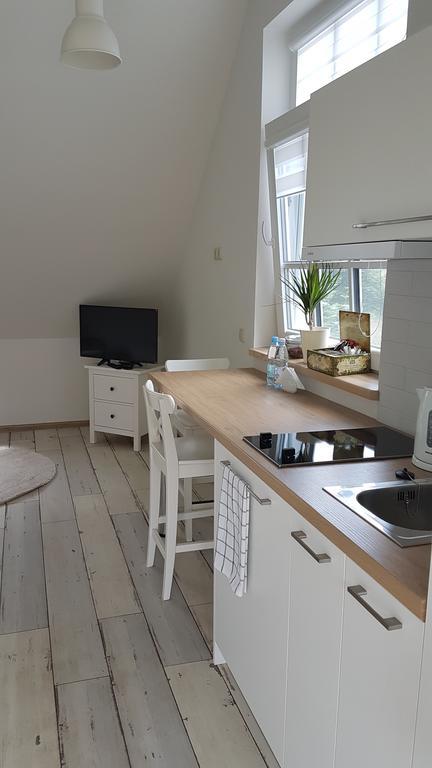 Inga Vacation House Druskininkai Kültér fotó