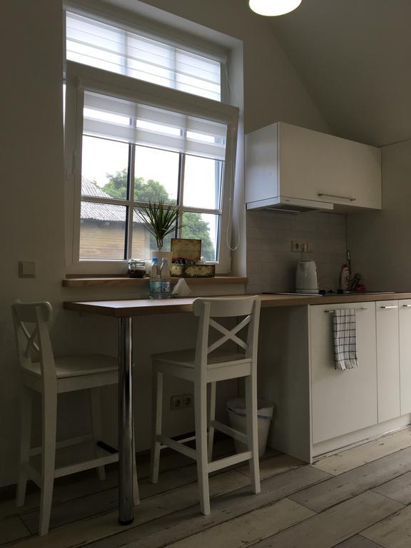 Inga Vacation House Druskininkai Kültér fotó
